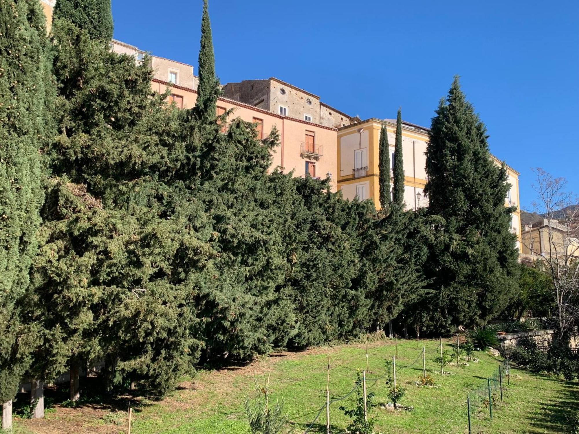 דירות אמנטיאה Palazzo Carratelli מראה חיצוני תמונה